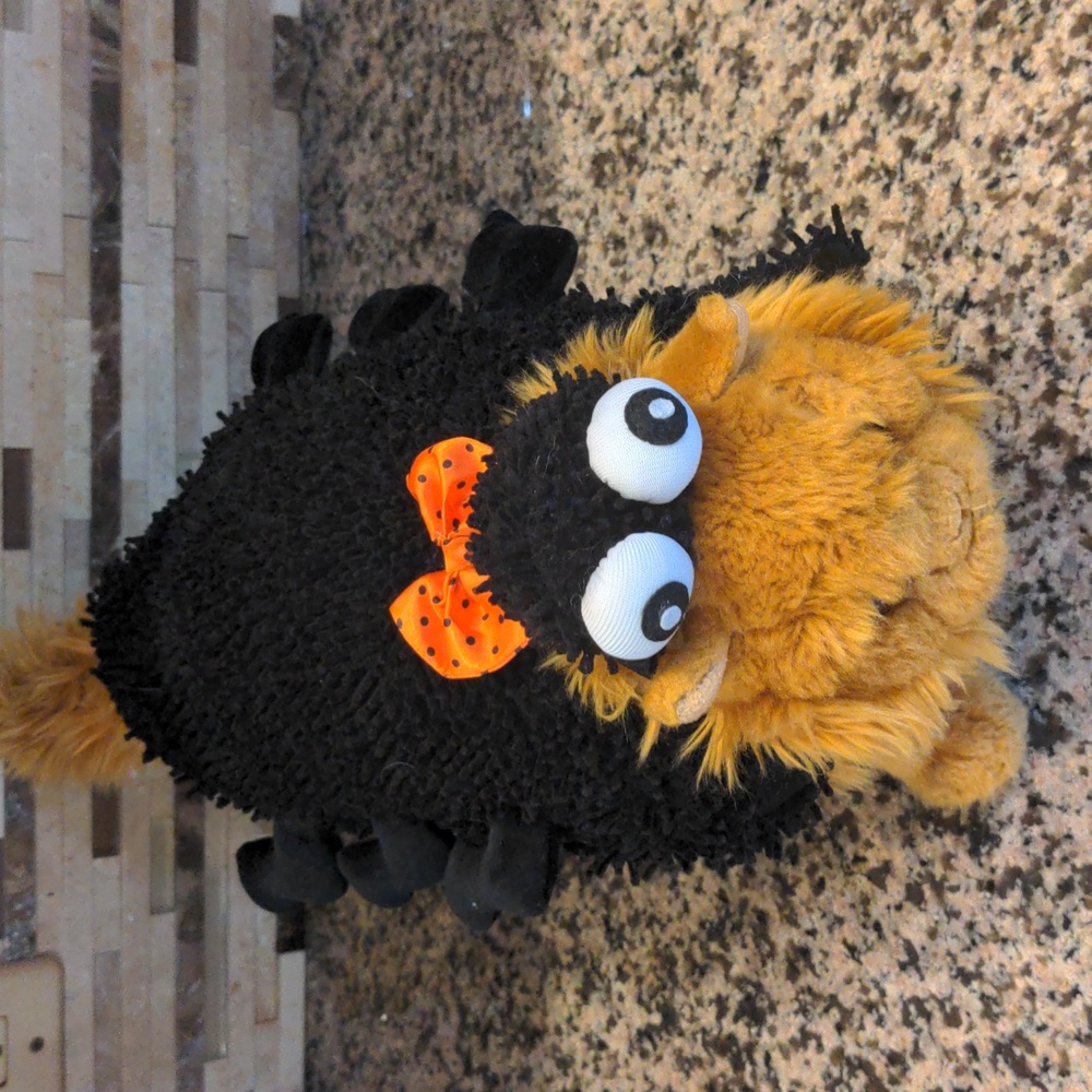 Spider small pet Halloween costume